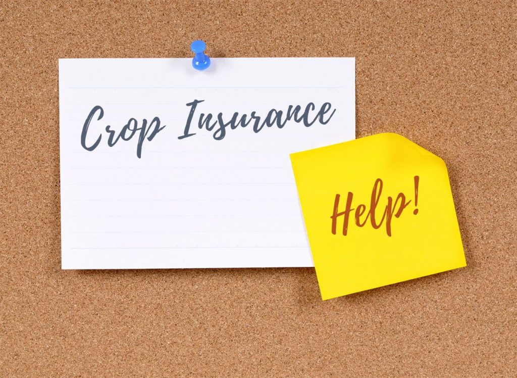 Crop Insurance Bulletin